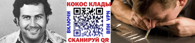 цены наркотик  Знаменск  Кокаин Fish Scale 