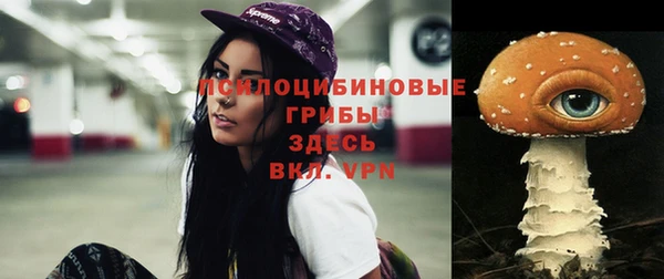 герыч Абаза
